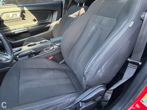 Used 2019 Ford Mustang Coupe RWD image 9