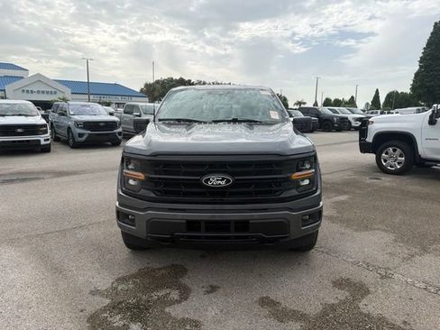 Used 2025 Ford F150 XLT w/ Equipment Group 303A High AWD/4WD image 2