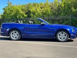 Used 2014 Ford Mustang Convertible w/ Equipment Group 102A image 3