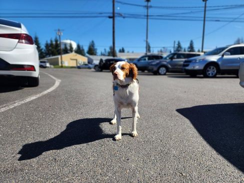 Used 2005 INFINITI G35 x Sedan image 4