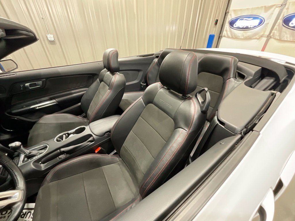 Used 2021 Ford Mustang GT Premium w/ California Special Package RWD image 10