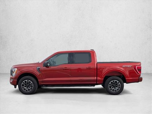 Used 2023 Ford F150 XLT w/ Equipment Group 302A High AWD/4WD image 9