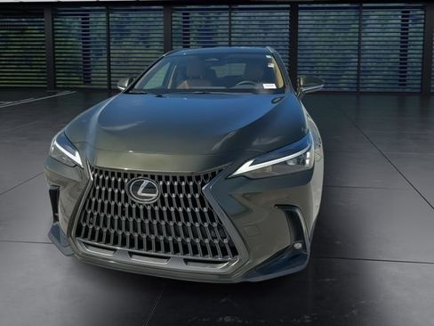 Used 2024 Lexus NX 250 FWD w/ Cold Area Package image 3
