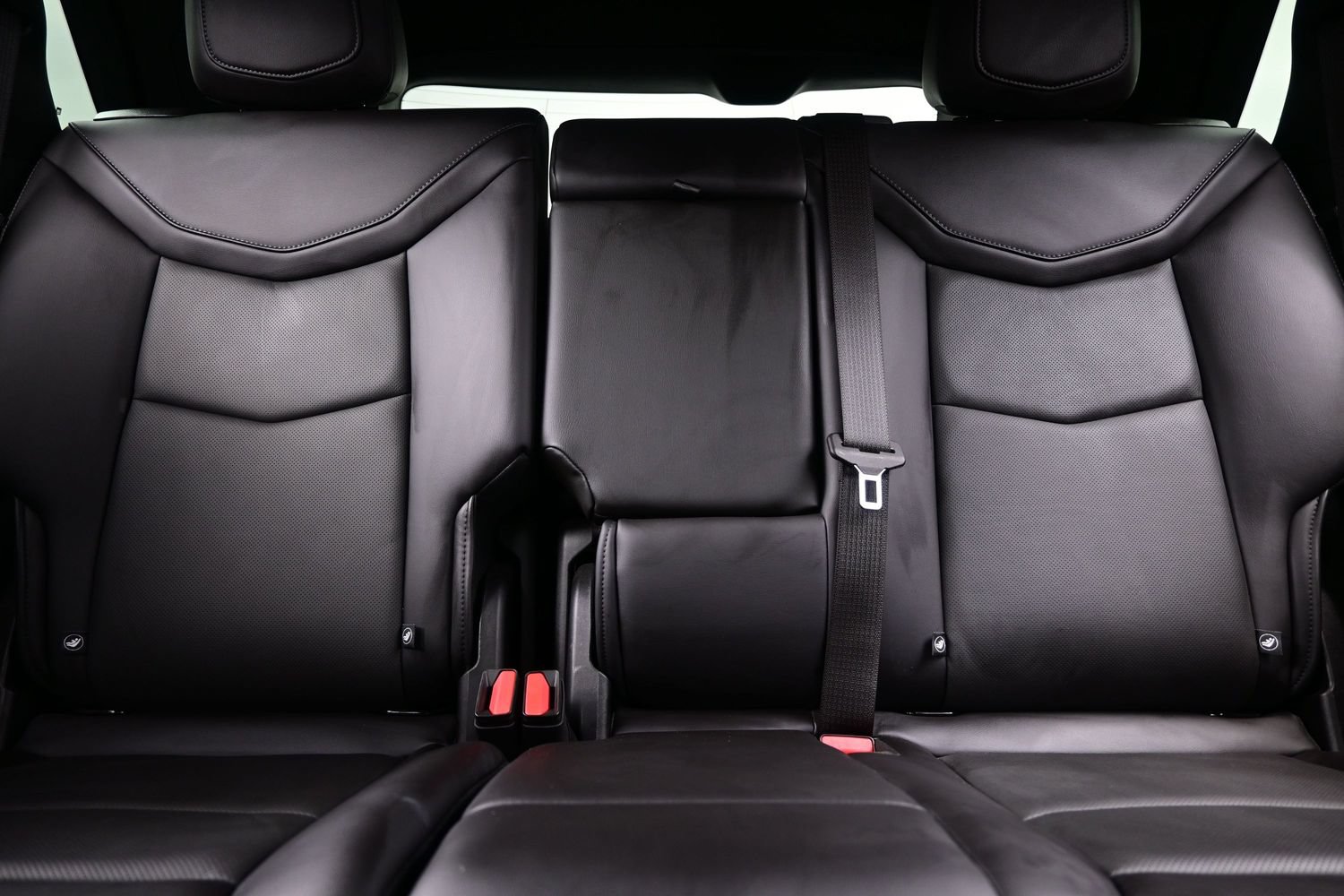 Used 2024 Cadillac XT5 Premium Luxury w/ LPO, Floor Liner Package AWD/4WD image 15