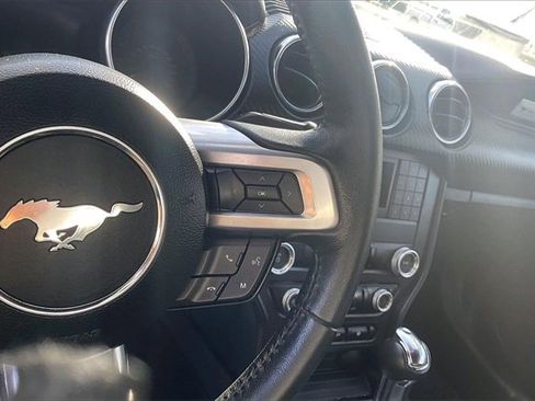 Certified 2023 Ford Mustang Coupe w/ Mustang Nite Pony Package image 19