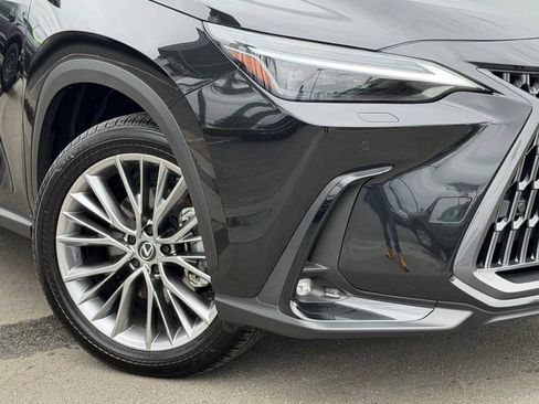 Used 2025 Lexus NX 350 AWD w/ Cold Area Package image 5