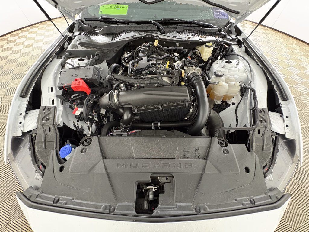 Certified 2025 Ford Mustang Premium w/ Mustang Nite Pony Package RWD image 32