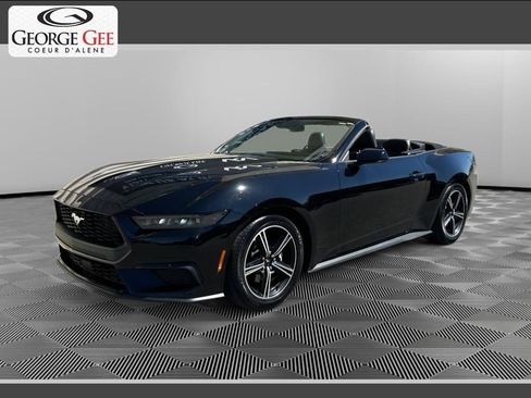 Used 2025 Ford Mustang Premium RWD image 1