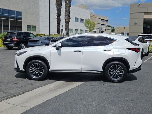 Used 2024 Lexus NX 350h AWD image 10