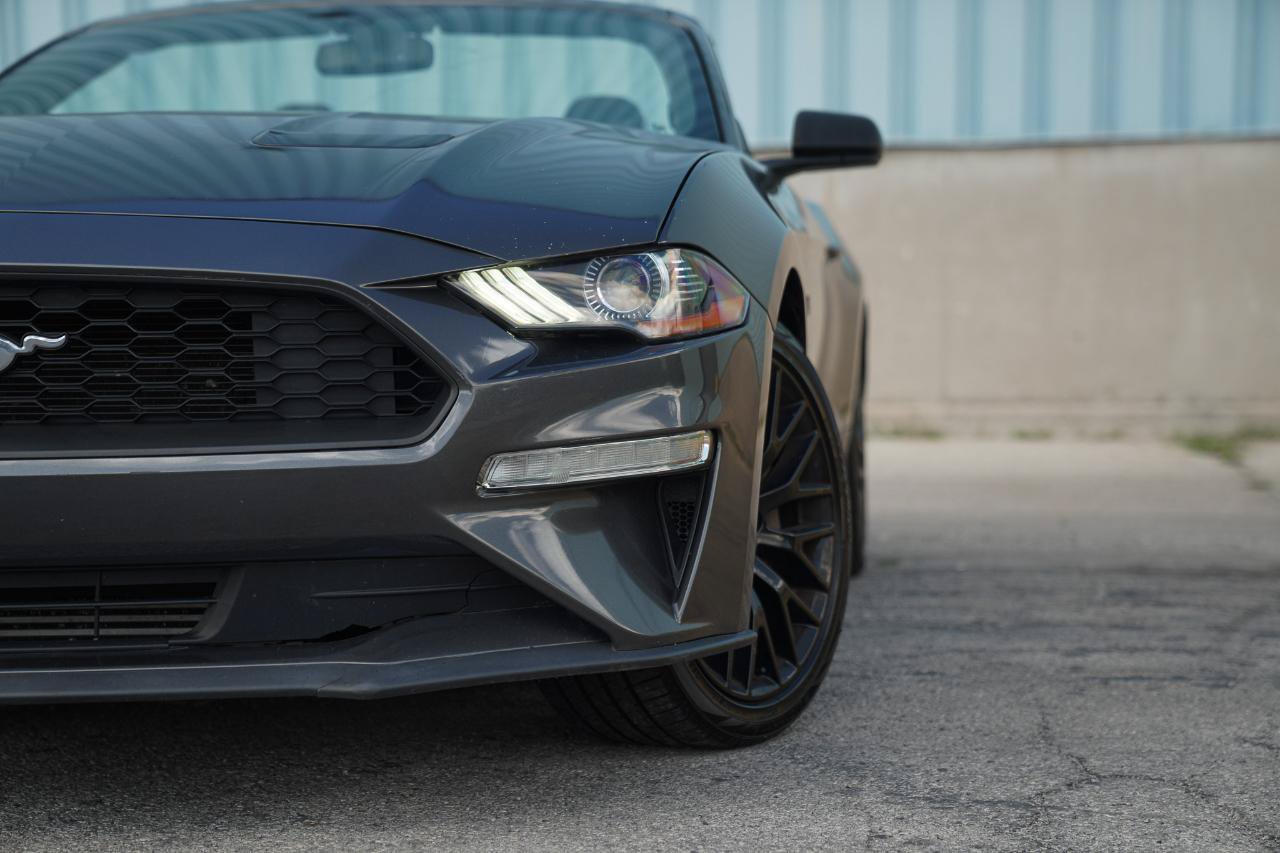 Used 2018 Ford Mustang Convertible w/ Ecoboost Performance Package RWD image 3