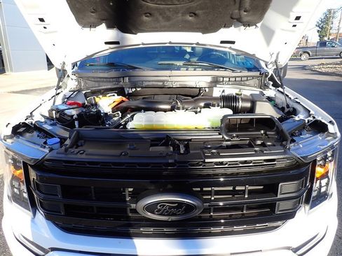 Certified 2023 Ford F150 XLT w/ Equipment Group 302A High image 13