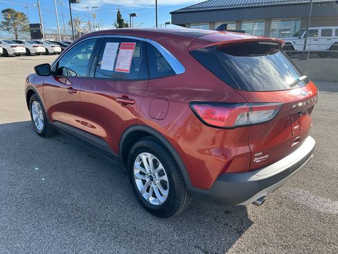 Used 2020 Ford Escape SE image 5