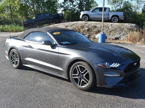 Used 2019 Ford Mustang Premium RWD image 1
