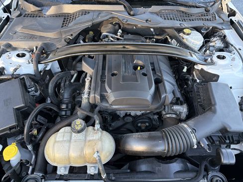 Used 2019 Ford Mustang Coupe w/ Ecoboost Performance Package image 10