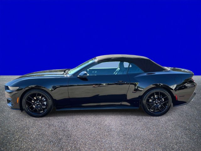 Used 2026 Ford Mustang Premium RWD image 6