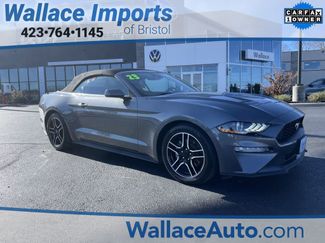 Used 2023 Ford Mustang Premium video 1