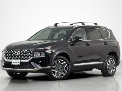 Used 2023 Hyundai Santa Fe SEL Convenience