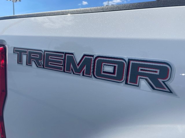 Used 2022 Ford F250 Lariat w/ Tremor Off-Road Package AWD/4WD image 11