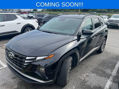 Certified 2024 Hyundai Tucson Blue