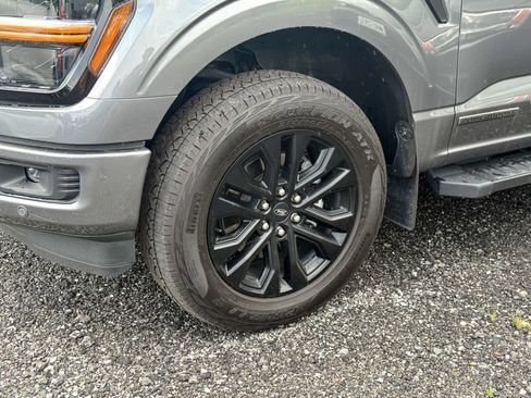 Used 2025 Ford F150 XLT w/ Equipment Group 302A MID AWD/4WD image 9