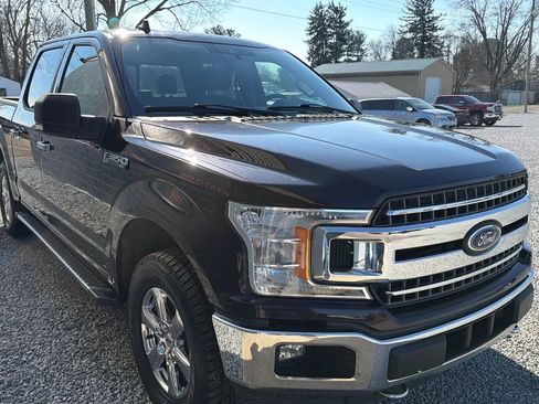 Used 2019 Ford F150 XLT w/ Equipment Group 302A Luxury AWD/4WD image 8