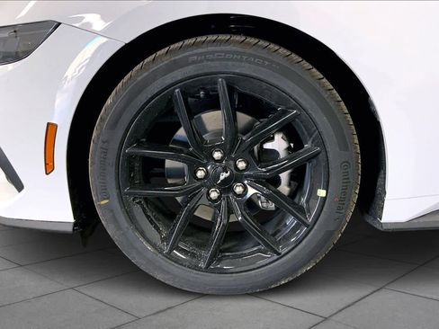 New 2026 Ford Mustang EcoBoost Fastback w/ Mustang Nite Pony Package image 10