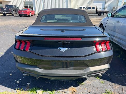 Used 2024 Ford Mustang Premium RWD image 3