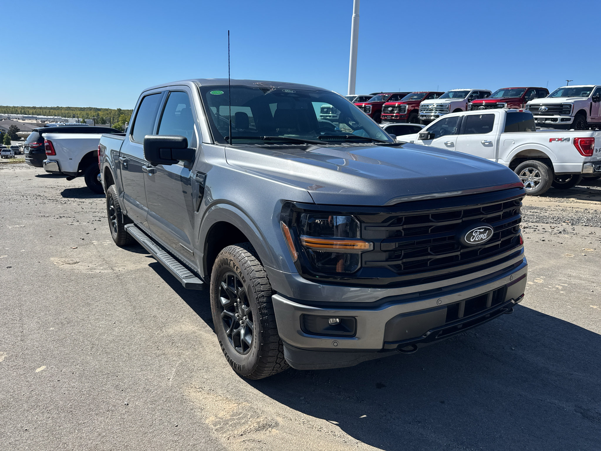 Used 2024 Ford F150 XLT w/ Equipment Group 302A MID AWD/4WD image 3
