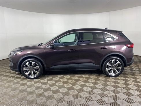 Used 2023 Ford Escape Platinum w/ Premium Technology Package image 7