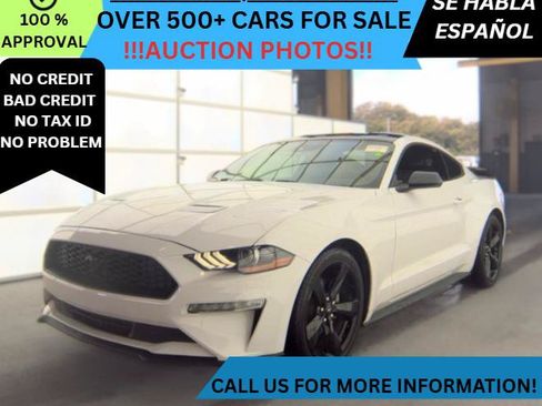 Used 2021 Ford Mustang Coupe w/ Equipment Group 101A RWD image 1
