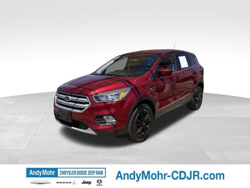 Used 2019 Ford Escape SE AWD/4WD image 3