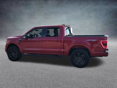 Used 2021 Ford F150 XLT w/ Equipment Group 302A High AWD/4WD image 8