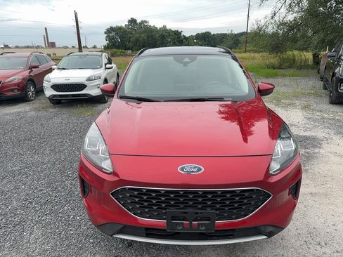 Used 2020 Ford Escape SE AWD/4WD image 8