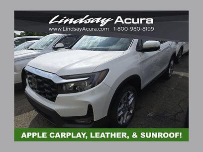 Used 2025 Honda Passport EX-L