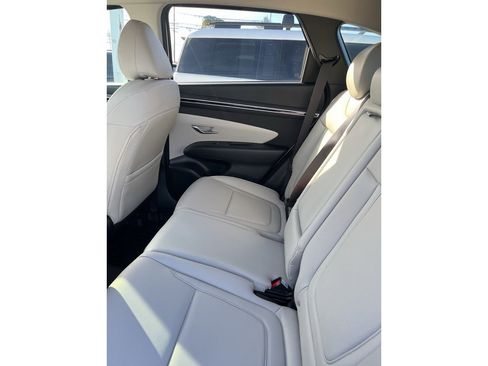 Used 2024 Hyundai Tucson SEL w/ Convenience Package image 4