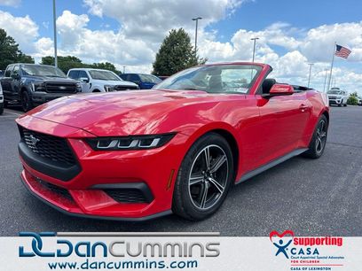 Used 2024 Ford Mustang Premium