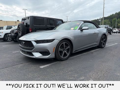 Used 2025 Ford Mustang Premium RWD image 3