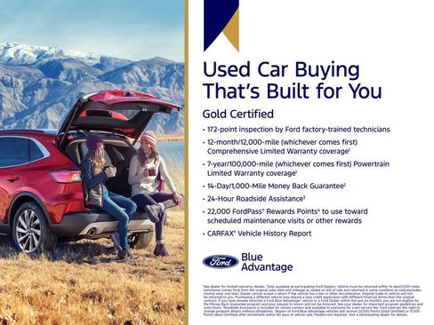 Certified 2025 Ford Transit 250 Low Roof w/ Exterior Upgrade Package RWD image 5