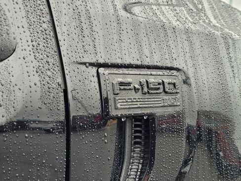 New 2025 Ford F150 XLT w/ Equipment Group 302A MID image 46