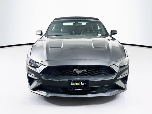 Used 2019 Ford Mustang Premium image 2