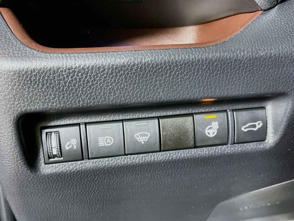 Used 2019 Toyota RAV4 Limited w/ Cold Weather Package FWD image 11