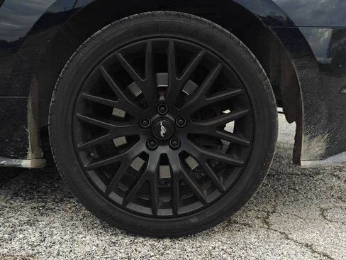 Used 2019 Ford Mustang GT Premium w/ Equipment Group 401A RWD image 21