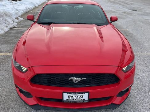 Used 2015 Ford Mustang Coupe image 4