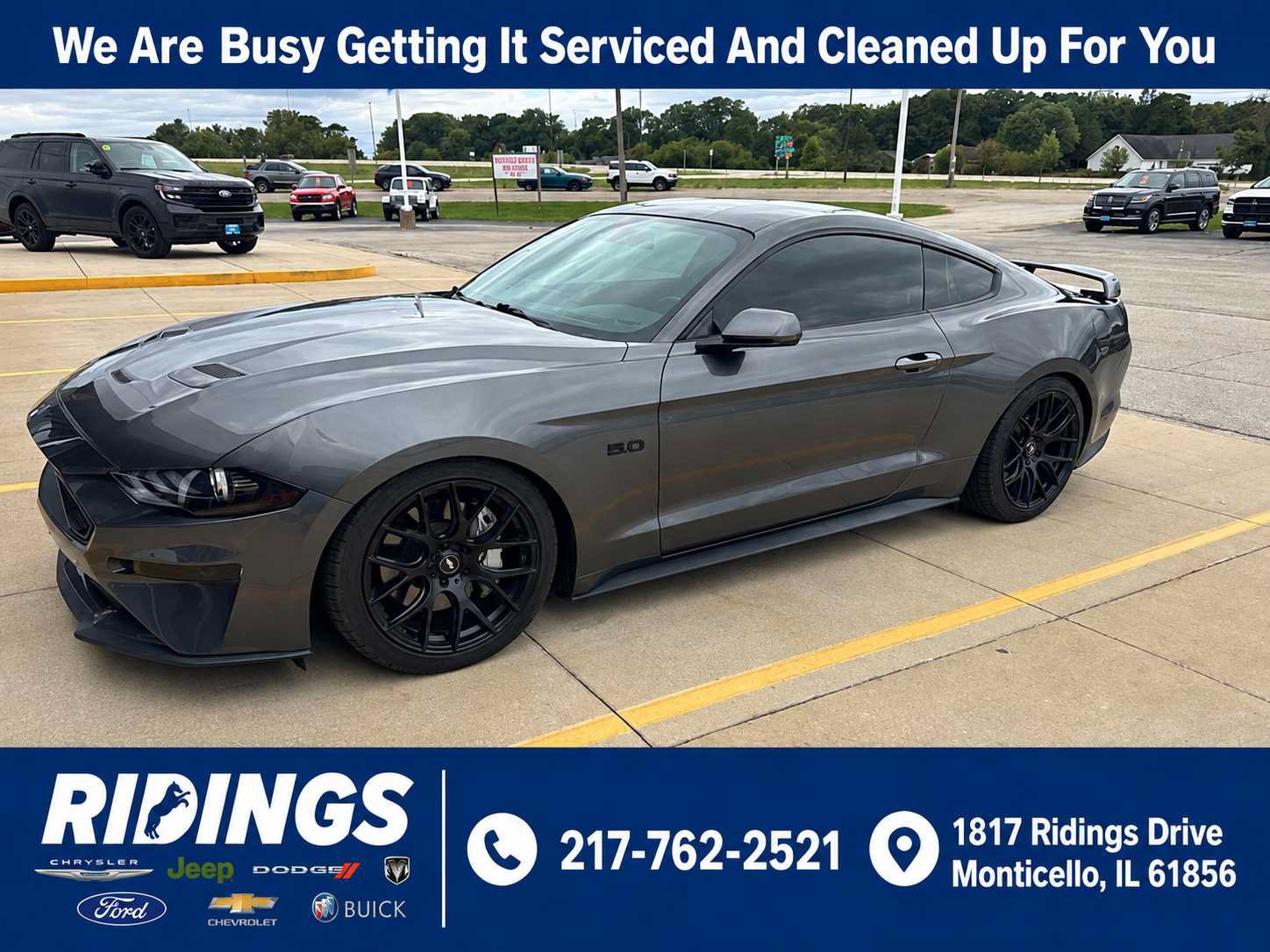 Used 2019 Ford Mustang GT Premium w/ Equipment Group 401A RWD image 1