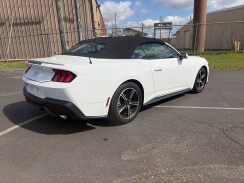 Used 2024 Ford Mustang Premium image 7