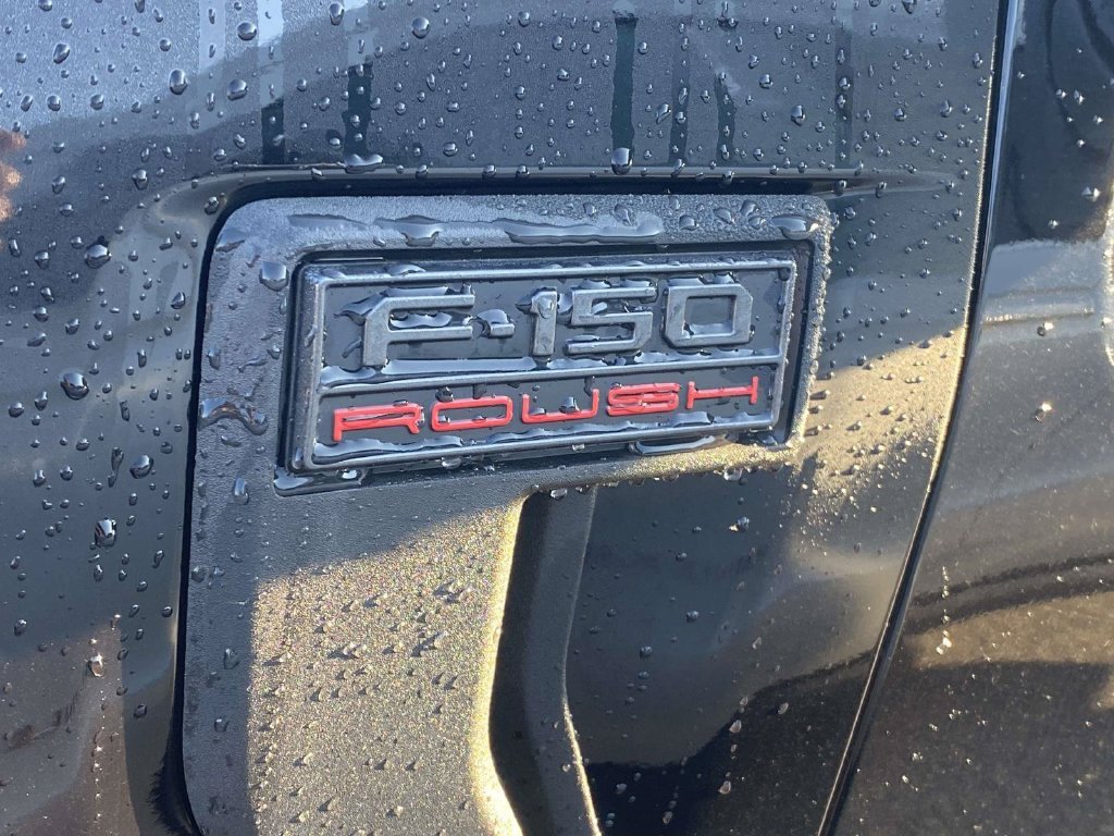 Used 2025 Ford F150 XL AWD/4WD image 3