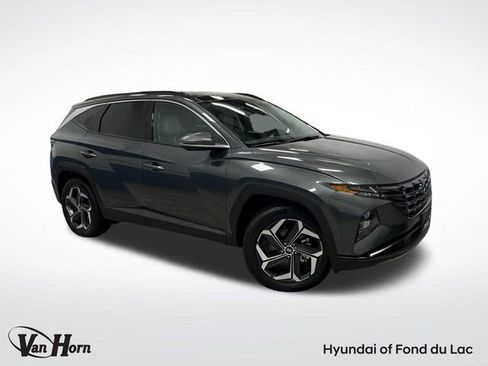 Used 2024 Hyundai Tucson Limited image 1