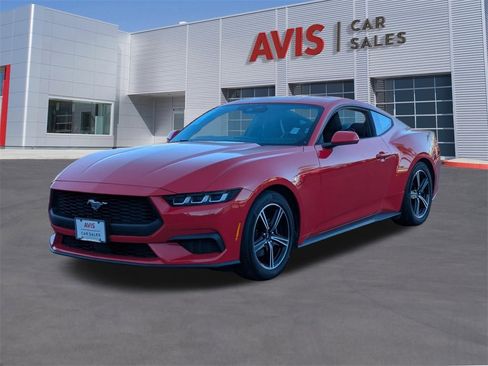 Used 2024 Ford Mustang Coupe image 1