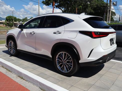 New 2026 Lexus NX 350 AWD w/ Premium Package image 7