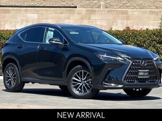 Certified 2025 Lexus NX 350h AWD w/ Cold Area Package video 2